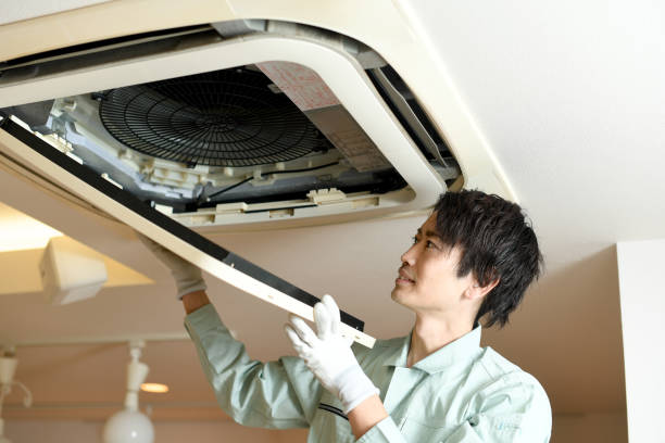 Best Air Vent Cleaning Services  in Mshall, AR