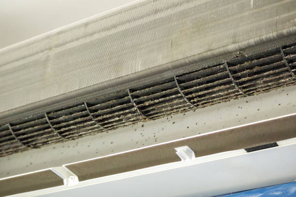 Best Ventilation Cleaning Services  in Mshall, AR